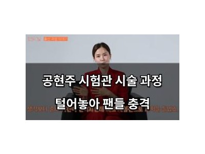 공현주 시험관 시술 과정 털어놓아 팬들 충격