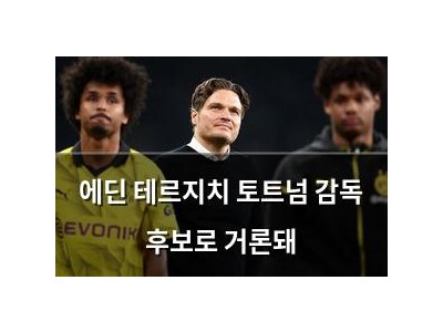 에딘 테르지치 토트넘 감독 후보로 거론돼