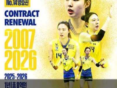 양효진 현대건설 재계약 확정