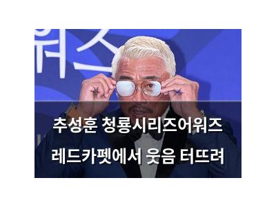 추성훈 청룡시리즈어워즈 레드카펫에서 웃음 터뜨려