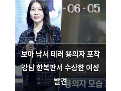 보아 낙서 테러 용의자 포착 강남 한복판서 수상한 여성 발견
