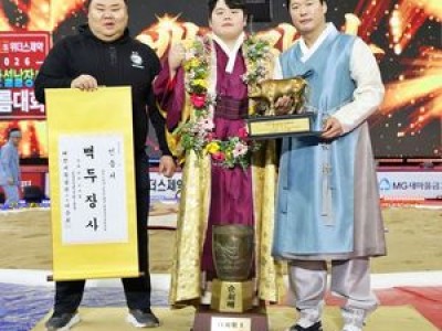 영암군민속씨름단 김민재 백두급 우승