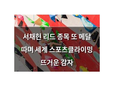 서채현 리드 종목 또 메달 따며 세계 스포츠클라이밍 뜨거운 감자