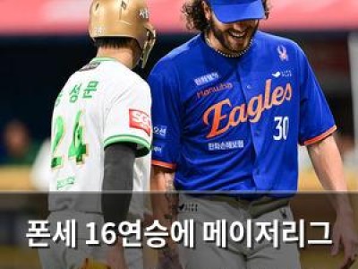 폰세 16연승에 메이저리그 스카우트들 눈길 끌었네