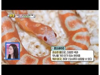 클릭비 오종혁 반려동물 충격적인 모습 공개