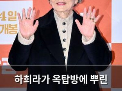 하희라가 옥탑방에 뿌린 판타지보다 더 비현실적인 사랑꾼 부부