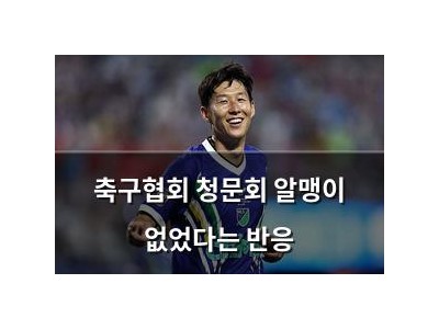 축구협회 청문회 알맹이 없었다는 반응