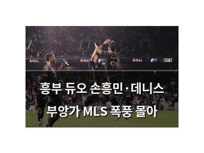 흥부 듀오 손흥민·데니스 부앙가 MLS 폭풍 몰아